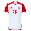 Maillot de Supporter Bayern Munich Alphonso Davies 19 Domicile 2023-24 Pour Enfant